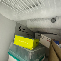 Fisher Scientific Isotemp Undercounter Freezer image 1